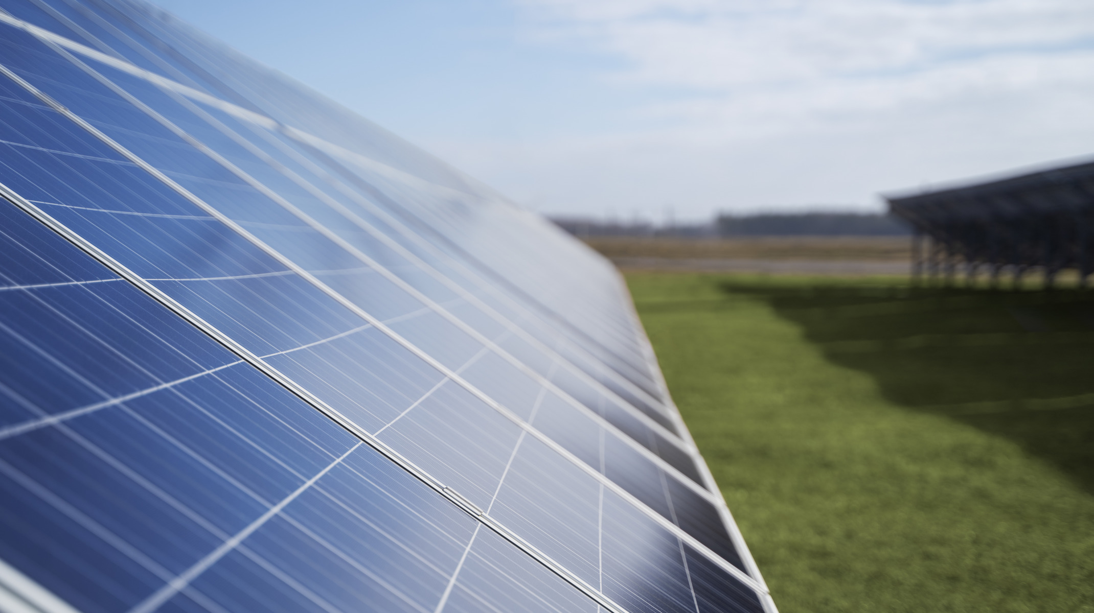 Switch or Stay? Green Business Electricity vs. Grid Power for Sustainability